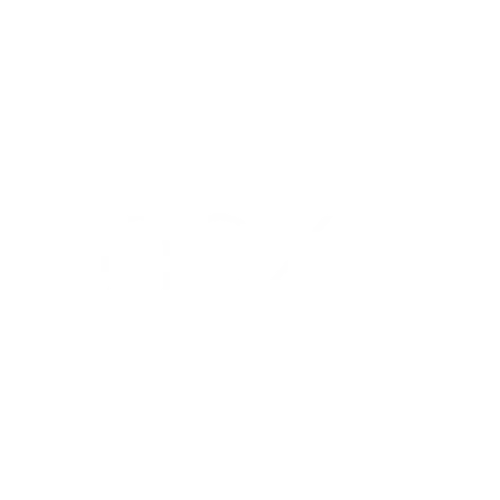 Customer Logo White Transparent Background Next